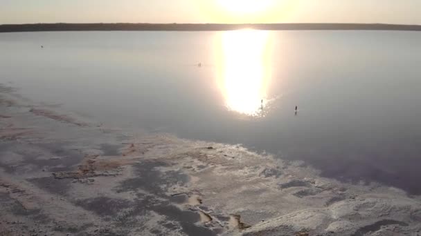 White Salt Shores of Red Kuyalnik Liman en Ukraine, Odessa à l'été — Video