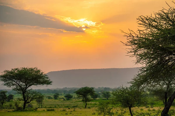 Spectaculaire coucher de soleil Ngoro Ngoro sur la brousse africaine — Photo