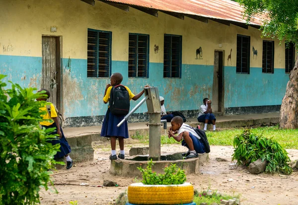 BAGAMOYO, TANZANIA - 2020 OCAK: Tanzanya Okul Üniformalı genç kızlar su pompalıyor ve Yard 'daki su pompasından su içiyorlar. Bahçede temiz su içiliyor. El suyu pompalanıyor.