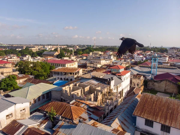 Acima dos telhados do edifício Vista aérea de Zanzibar, Stone Town. Tanzânia. Hora do pôr-do-sol Cidade costeira na África — Fotografia de Stock