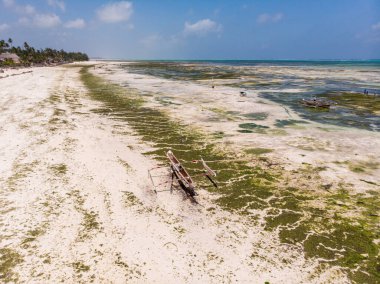 Alçak Gelgitte Tahta Afrika Dhow katamaran teknesinin havadan çekimi. Jambiani, Zanzibar, Tanzanya