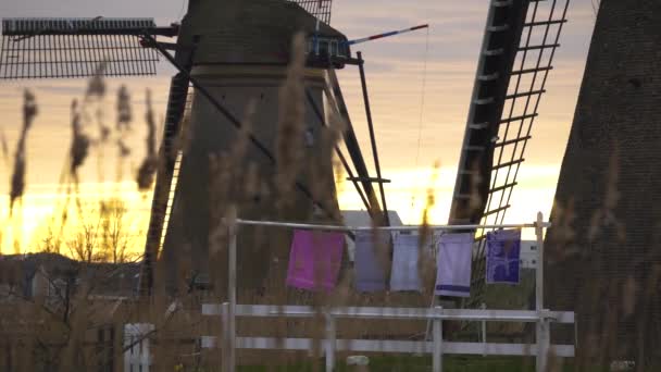 Kanal mit Büschen und Windmühlen am bewölkten Tag am Kinderdijk. Gelegen in einem Polder, hat die größte Konzentration alter Windmühlen im Land. Niederlande. — Stockvideo