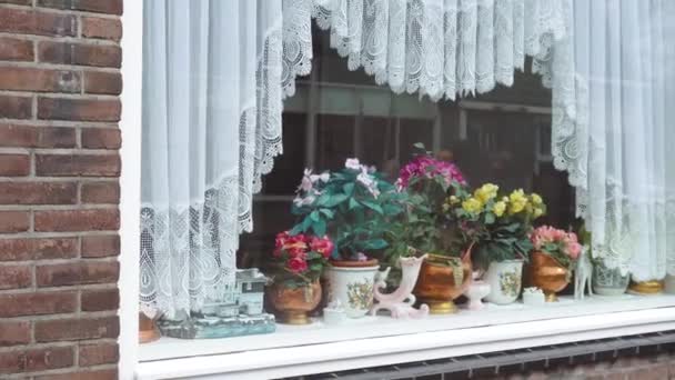 Decoração acolhedora no peitoril da janela e detalhes arquitetônicos de casas de madeira em Dutch Village, na ilha de Marken, no Ijsselmeer ou anteriormente Zuiderzee, Países Baixos — Vídeo de Stock