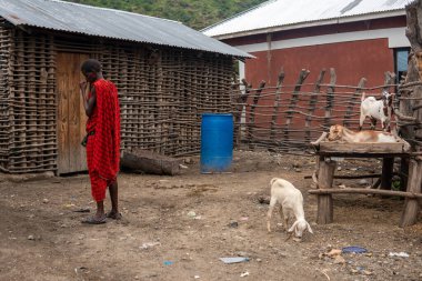 TANZANIA, MASAI VILLAGE - HAZİRAN 2020: Arusha 'nın Maasailand bölgesindeki Natron Gölü kıyısındaki Engare Sero köyündeki Masai insanlarının portresi
