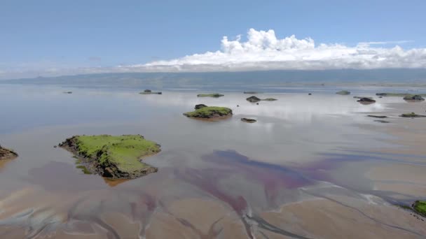 Vliegzicht vanuit de lucht op de eilanden aan het Natronmeer in de Grote Riftvallei, tussen Kenia en Tanzania. In het droge seizoen is het meer 80 bedekt met frisdrank en staat bekend om zijn waadvogels en enorme kuddes — Stockvideo