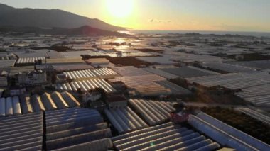 Türkiye 'nin Demre-Antalya kentindeki yeşil sera tarlalarının insansız hava güneşinin doğuş saati