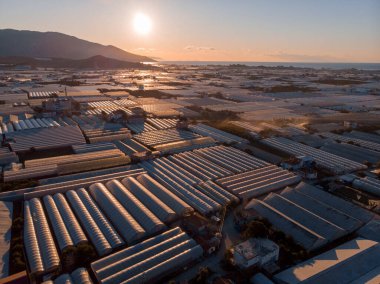 Türkiye 'nin Demre kentindeki Sunrise' da Bitmeyen Seraların Havadan Çekimi