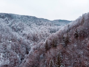Ukrayna 'da Bulutlu Gün' de karla kaplı Karpatlar 'ın muhteşem manzaraları Vyzhnytsia köyü ve Cheremosh nehri yakınlarında.
