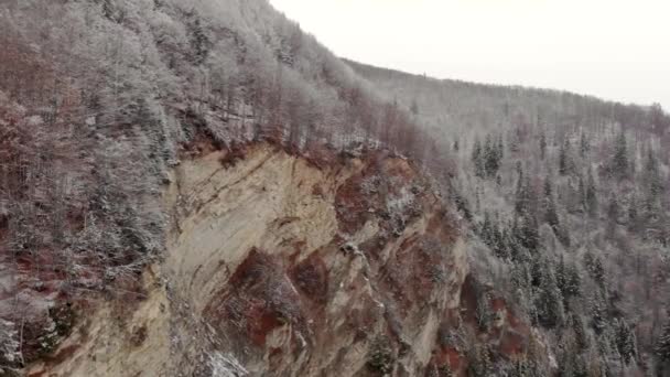 Underbara landskap i Karpaterna täckt med snö på molnigt dag i Ukraina nära byn Vyzhnytsia och floden Tjeremosh — Stockvideo