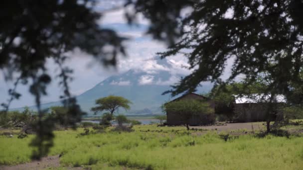 Traditional Maasai Village near Lake Natron and Ol Doinyo Lengai volcano in Tanzania, Africa. Acacia Tree on foreground — Stock Video