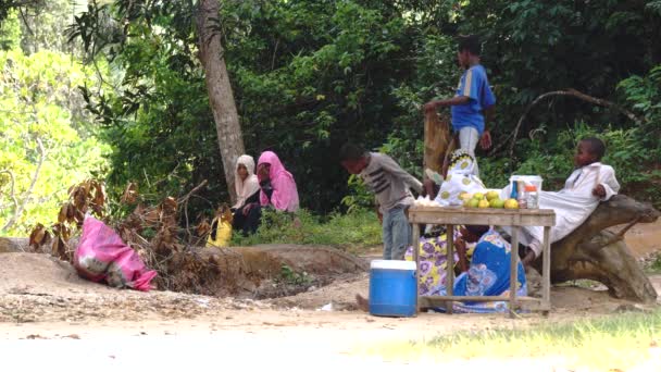 Pulau Pemba, Zanzibar, Tanzania - Januari 2020: Kelompok Orang Afrika, Wanita dengan anak laki-laki dan perempuan berkeliaran di tepi sungai dan menjual Buah dan Minuman — Stok Video