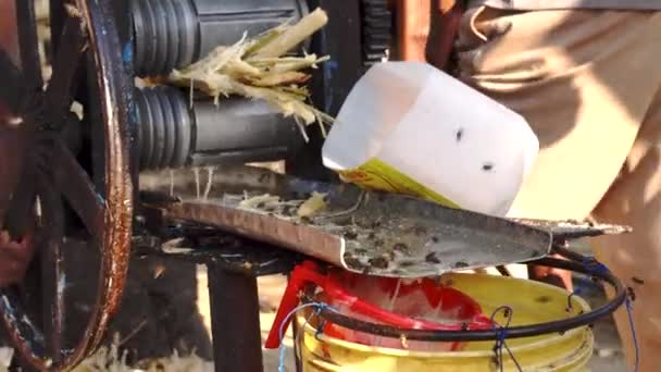 Bees Comes to a Sugar cane syrup Machine en la isla de Pemba, Tanzania — Vídeos de Stock