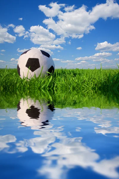 Soccer ball in grass — Stock Photo, Image