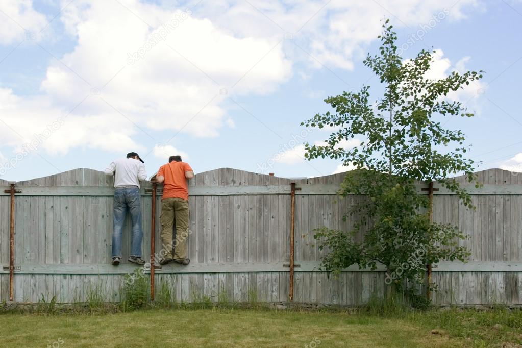 Two boys on the fence looking for smth