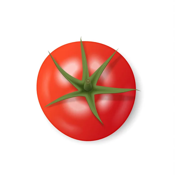 Tomate vermelho isolado sobre fundo branco. Lanche fresco, conceito de comida saudável. Closeup Vector ilustração 3d —  Vetores de Stock