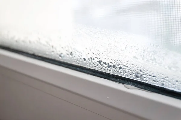 Condensation on PVC window in winter, white plastic window with mosquito net