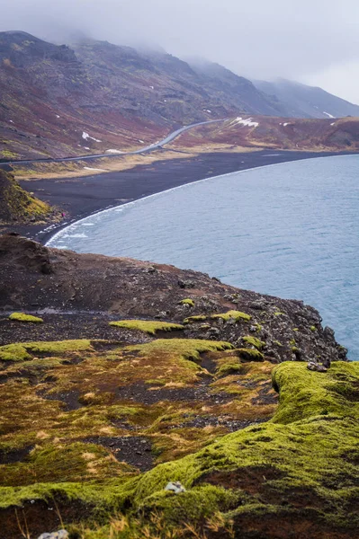 İzlanda 'da Krysuvik-Seltun yakınlarında Kleifarvatn Gölü' nün yosun ve siyah plajlarıyla kaplı kayalar.