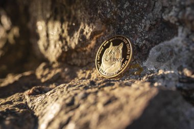 Dogecoin 'in, Shiba Inu köpeğiyle birlikte kayaların arkasında, arka planda fotokopi alanı olan yumuşak günbatımı ışığı olan bir taşın üzerinde yakın plan çekimi. Tek fiziksel metal altın parlayan kripto para.