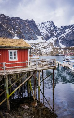 Norveç, Lofoten Adaları 'ndaki Reine Balıkçı Köyü' nün tipik kırmızı evleri. İnsan yok. Limanda tekneler ve karlı dağlar.