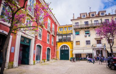 LISBON, PORTUGAL - 25 Mart 2017 Lizbon, Portekiz 'de Alfama' nın tipik renkli evleri ve çiçek açan pembe bougainvillea ağaçları. Bahar geldi. Yeşil kapılı sarı ve kırmızı binalar.