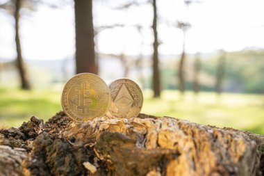 Bitcoin ve Ethereum 'un açık bir ağaç kütüğüne yakın plan, yeşil doğal bulanık orman arka planı ve fotokopi alanı. Altın BTC ve ETH kripto para birimleri, ekolojik etki, enerji tüketimi
