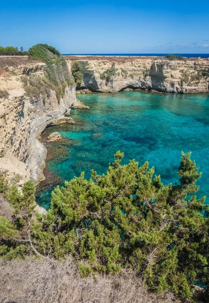 Torre Sant Andrea orilla rocosa del mar con agua turquesa y enebro, Apulia Italia — Foto de Stock