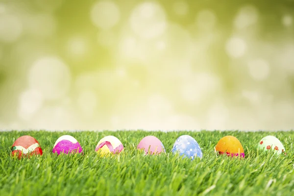 Colorful easter eggs hiding in the grass — Stock Photo, Image