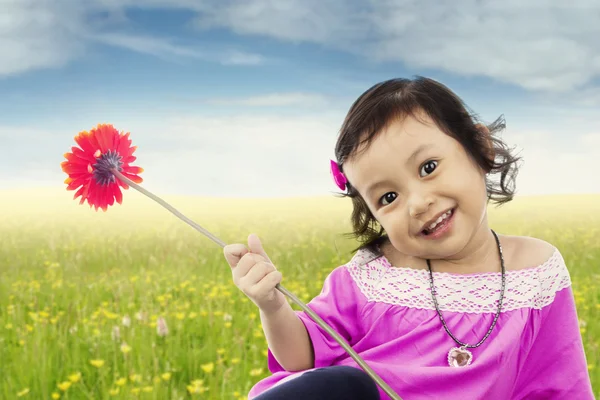 Lief klein meisje houdt bloem op veld — Stockfoto