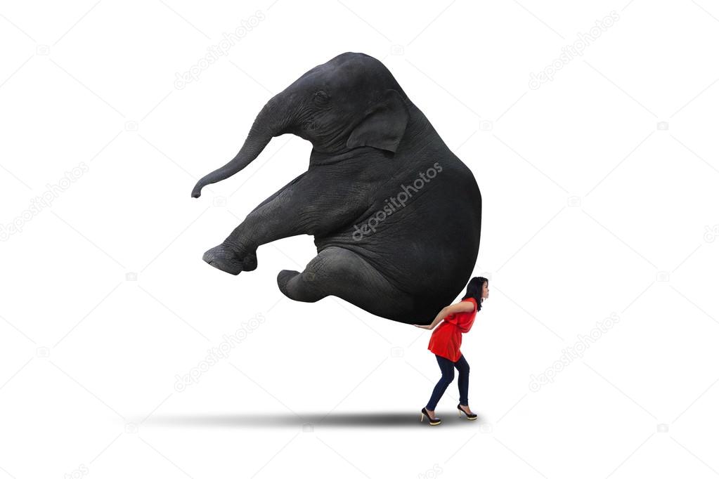 Isolated woman carrying big elephant