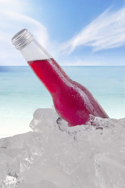 Red lager in the cold bottle with ice cube — Stock Photo, Image