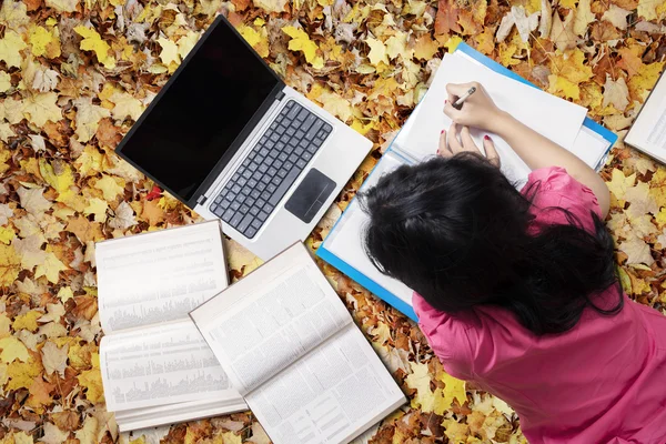 Estudante aprende com laptop em folhas de outono — Fotografia de Stock