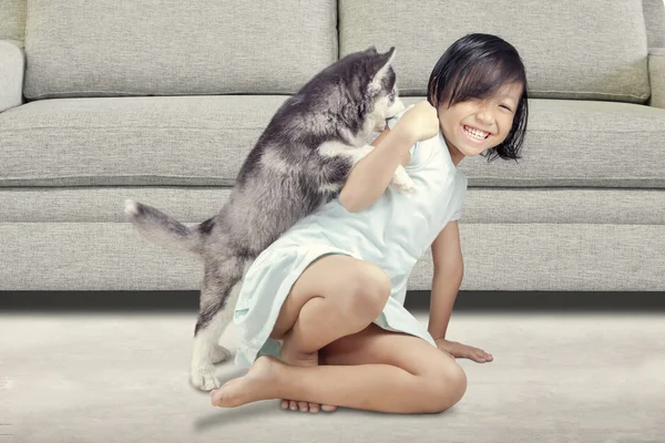 Sevimli kız ve evde husky köpek yavrusu — Stok fotoğraf