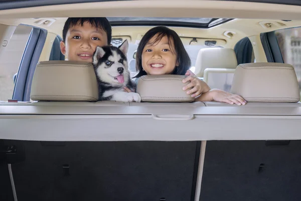 Niños alegres y perro husky en el coche —  Fotos de Stock