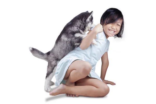 Dziewczyna bawi sie z husky szczeniaka w studio — Zdjęcie stockowe