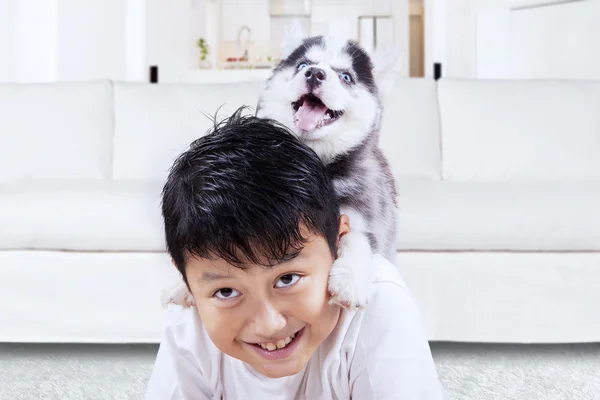 Eccitato ragazzo giocare con husky cucciolo a casa — Foto Stock