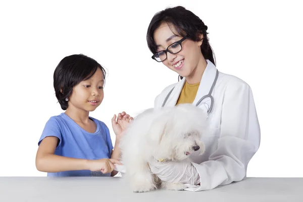 Fille portant son chien chez le vétérinaire — Photo