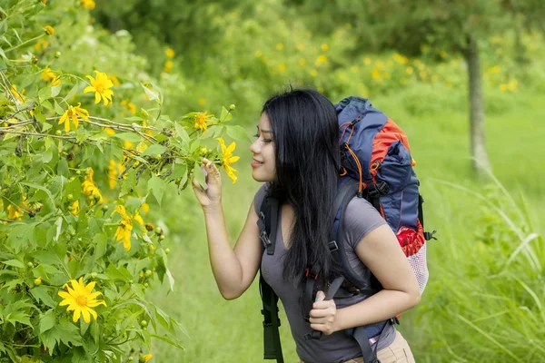 Wanderer küsst Blume im Wald — Stockfoto