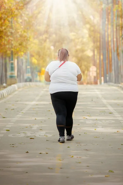 Bakifrån Ung Fet Kvinna Promenader Vägen Med Höstsäsong Bakgrund — Stockfoto