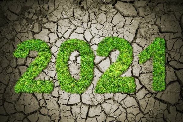 Horní Pohled Zelenou Trávu Formující Číslo 2021 Zaschlé Půdě — Stock fotografie