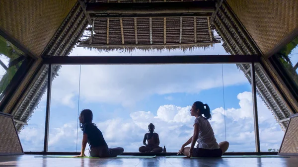 Kızıyla Yoga Yapan Genç Bir Kadının Mavi Gökyüzü Manzaralı Bir — Stok fotoğraf