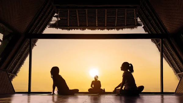 Vista Trasera Niña Con Madre Haciendo Ejercicio Yoga Mientras Está — Foto de Stock