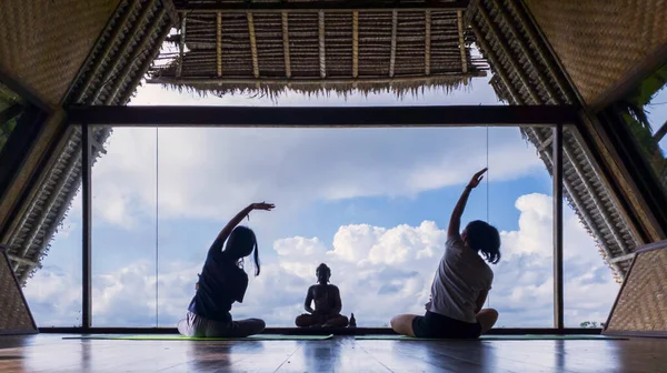 Vista Trasera Mujer Joven Con Hija Practicando Yoga Mientras Está —  Fotos de Stock