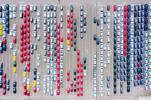 Visão Cima Para Baixo Carros Novos Estacionados Depois Produzidos Fábrica — Fotografia de Stock