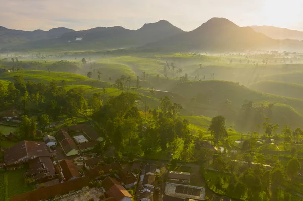 Cenário Exótico Plantação Chá Com Fundo Montanha Enevoado Nascer Sol — Fotografia de Stock