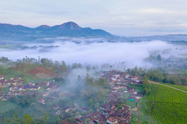 朝の時間に山の背景を持つ霧の村や茶畑の美しい空の景色 — ストック写真