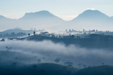 Pangalengan, Batı Java, Endonezya 'da sabah vakti sisli ile kaplı çay tarlalarının güzel hava manzarası