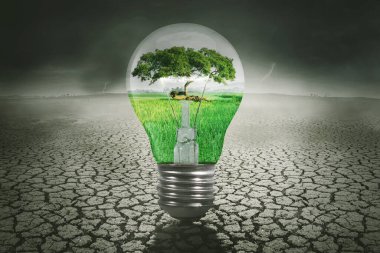 Kurumuş toprak zeminli ampulün yeşil doğasını kapatın. Enerji kaynağı kavramı