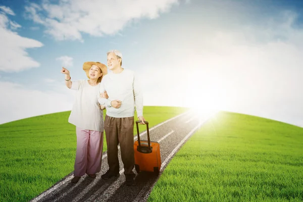 Elderly Couple Carrying Luggage While Pointing Something Standing Road Sunlight — Stock Photo, Image