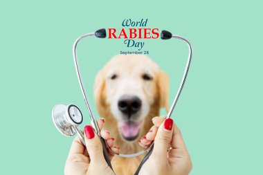 Close up of veterinarian hands holding a stethoscope with world rabies day text while standing near a dog