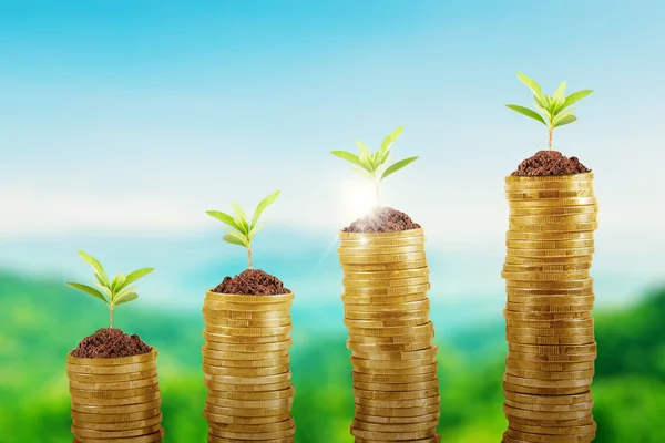 Primer Plano Del Árbol Crecimiento Pila Monedas Con Fondo Cielo — Foto de Stock